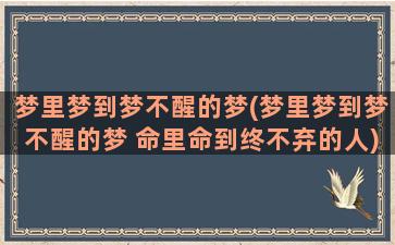 梦里梦到梦不醒的梦(梦里梦到梦不醒的梦 命里命到终不弃的人)